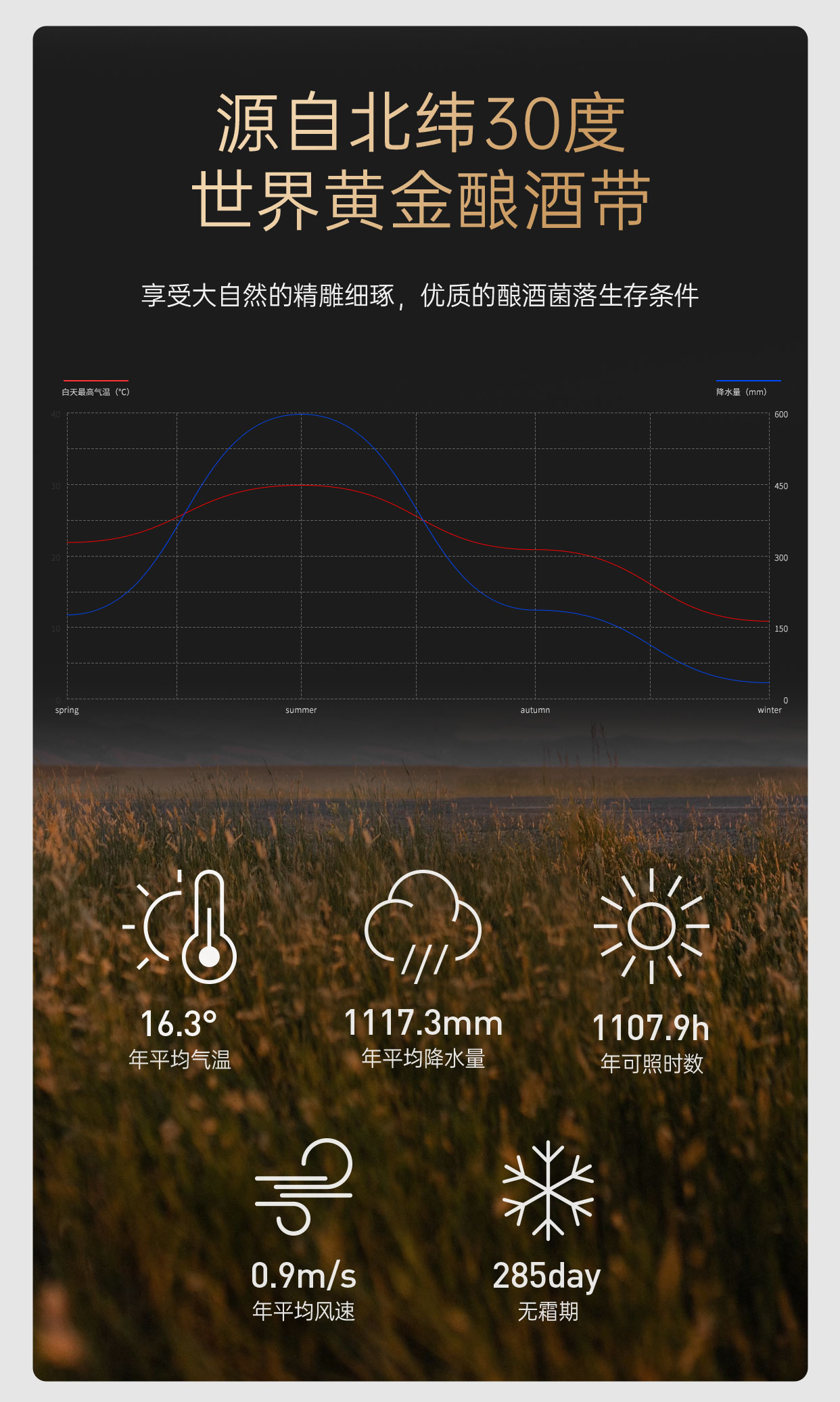 19（改）_05.jpg