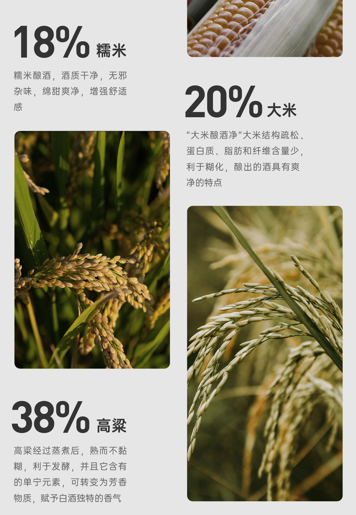 19Mini（改）_05.jpg