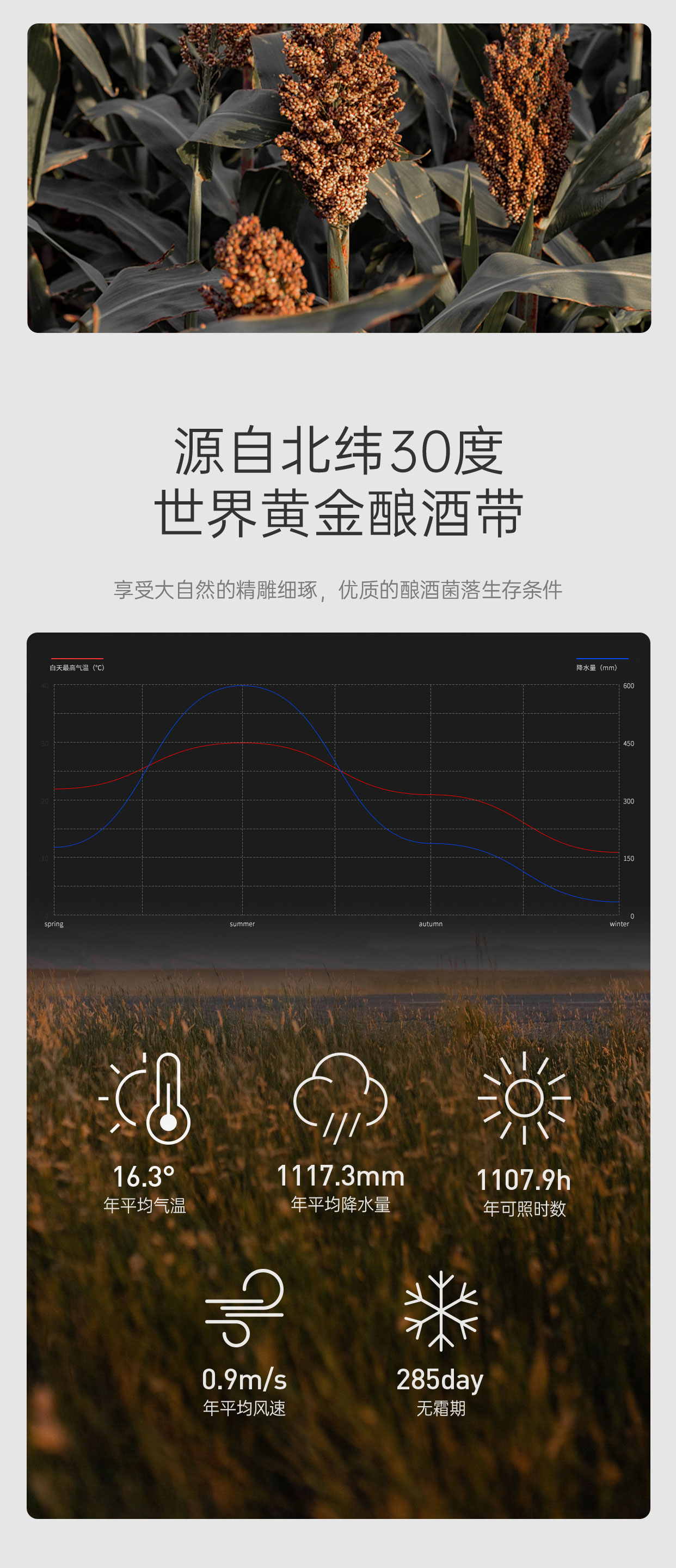 19Mini（改）_06.jpg